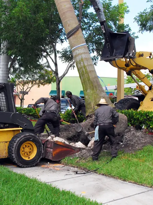 landscaping atlantic beach fl
